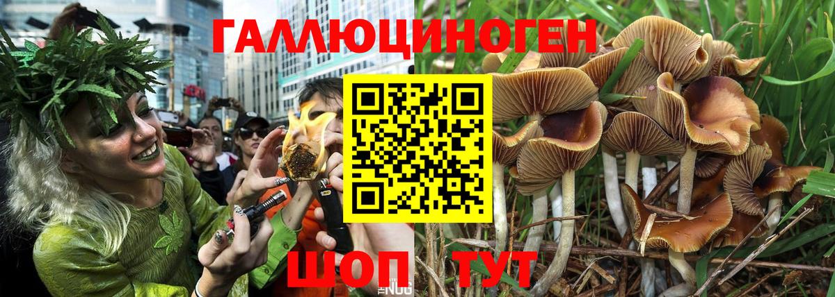 Галлюциногенные грибы Magic Shrooms  Вход с VPN  Ростов Великий  Псилоцибиновые грибы Cubensis 
